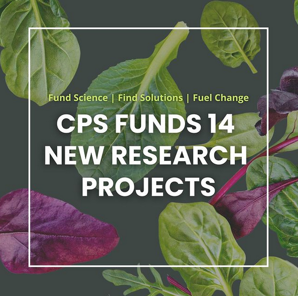 CPS safety campaign boosted by industry leaders