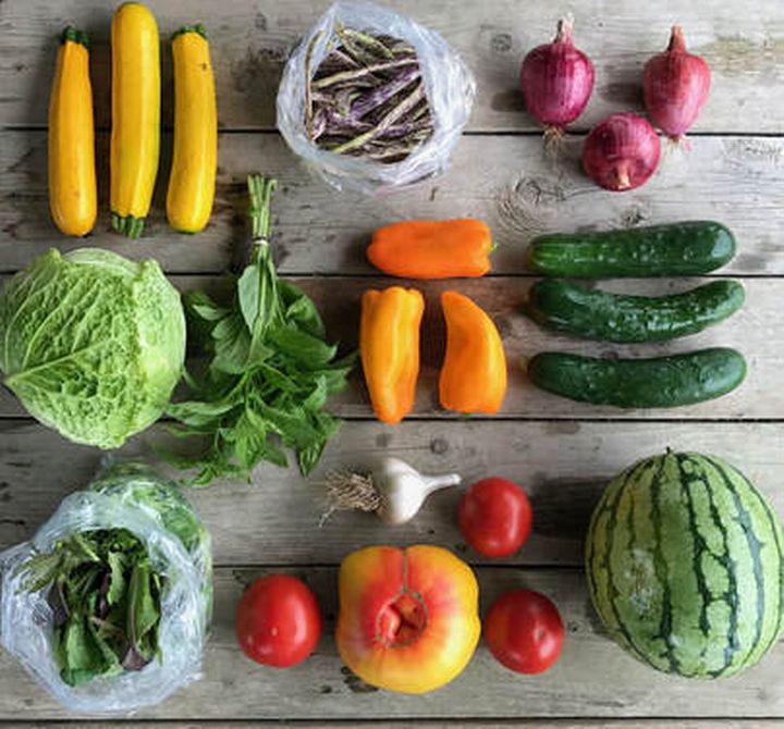 How to appreciate the benefits of community supported agriculture