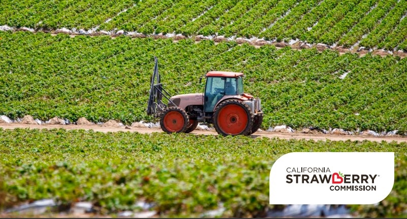 California Strawberry Commission highlights sustainable practices