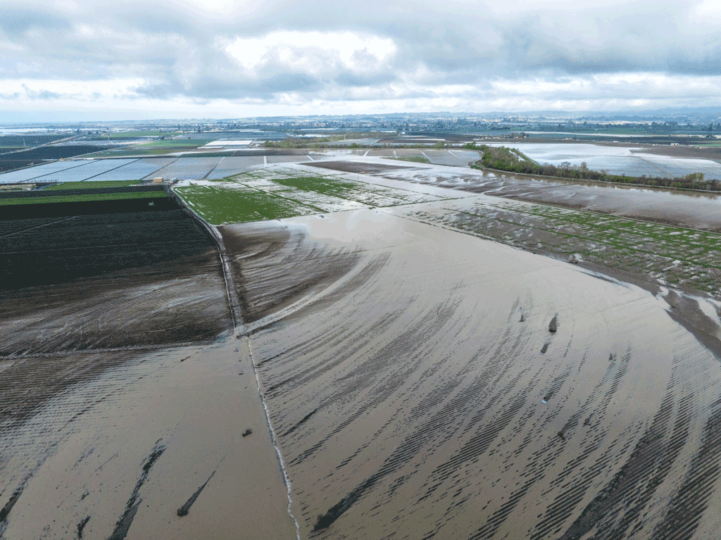 Commentary: Golden State growers want solutions for flood-control issues