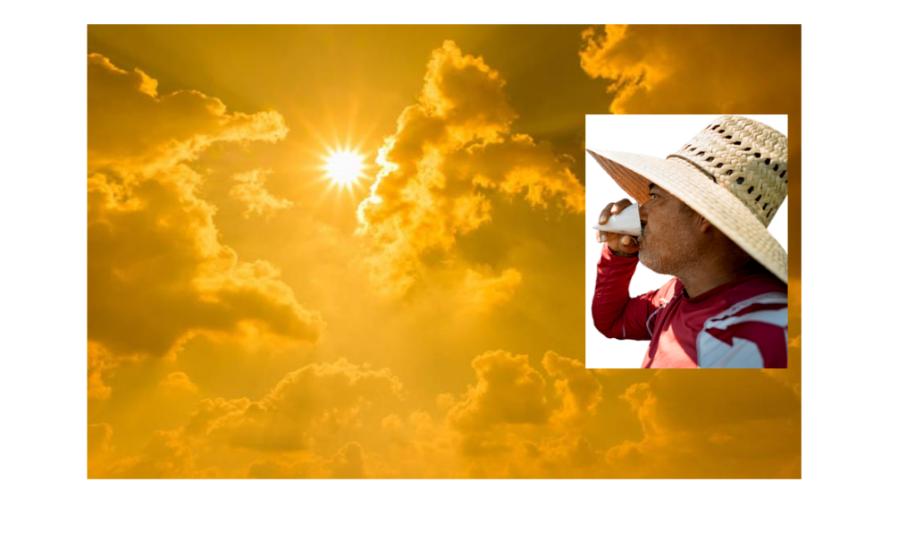 Intense heat stress California crops, growers