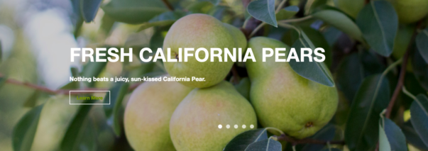 Northern California pear research meetings scheduled
