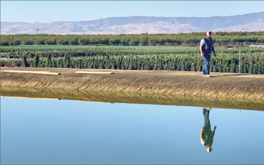 Madera County, California, farmers feel the pain of groundwater rules