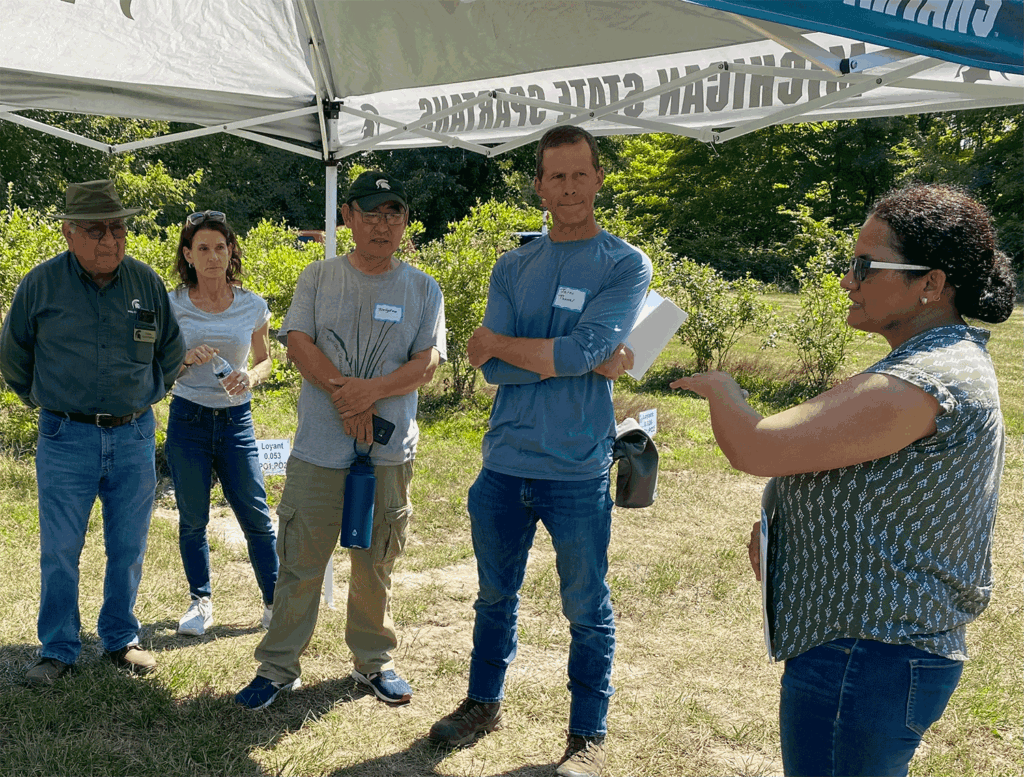 Michigan blueberry growers absorb latest tips