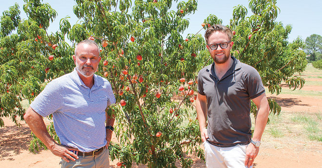 Texas Hill Country peach grower limits pests, conserves water