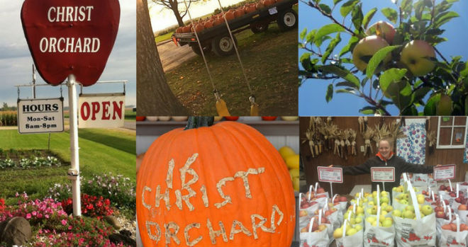 Christ Orchard to welcome Illinois Summer Horticulture Field Day