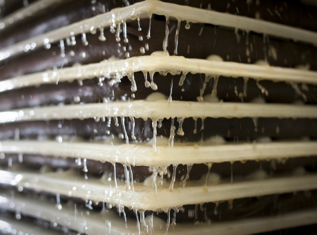 Geneva saves Cornell Orchards’ cider season