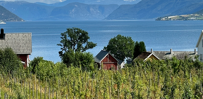 Ciderhuset savors tradition in Norway’s fjords