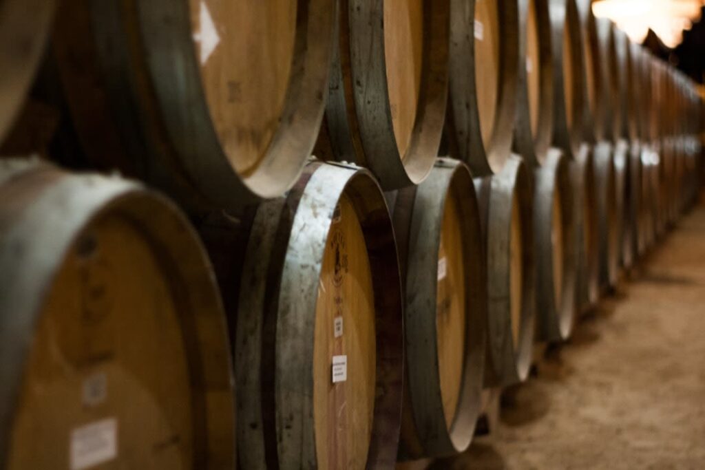 Georgia wine industry spreads with UGA’s help