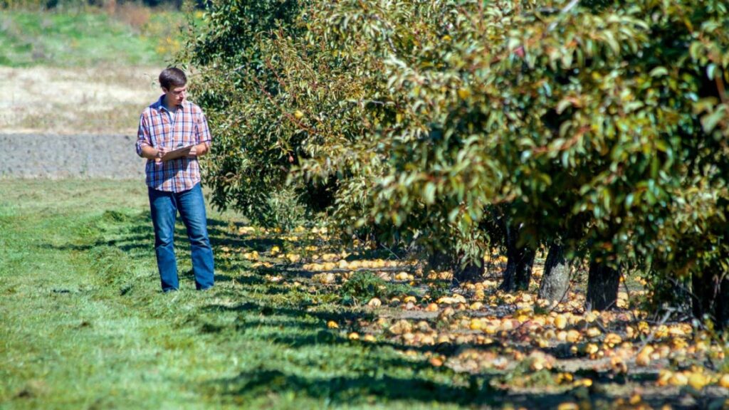 New bacteria ID will help apple juice producers avoid spoilage