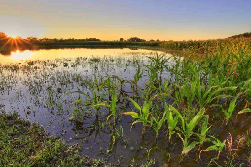 Weathering change: Cornell CALS helps New York growers adapt