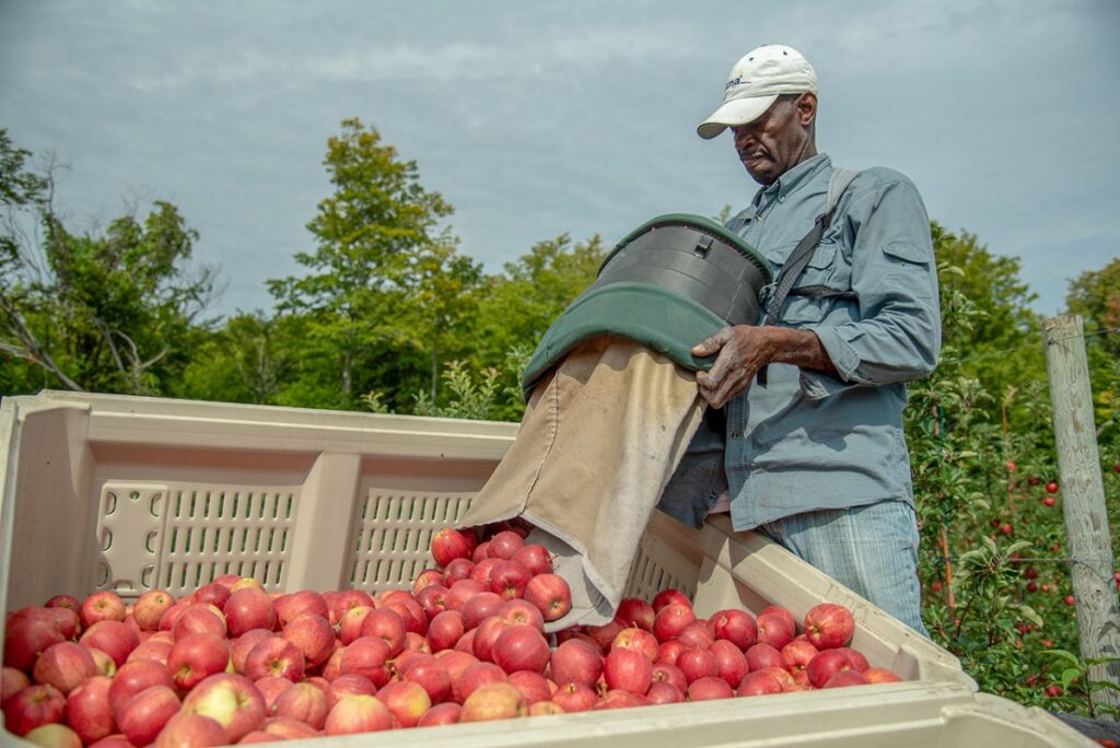 Study reveals NYS apple industry’s true economic impact