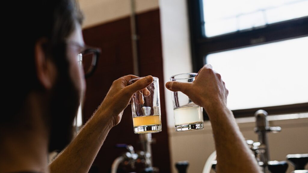 Cornell AgriTech online course makes hard cider easier