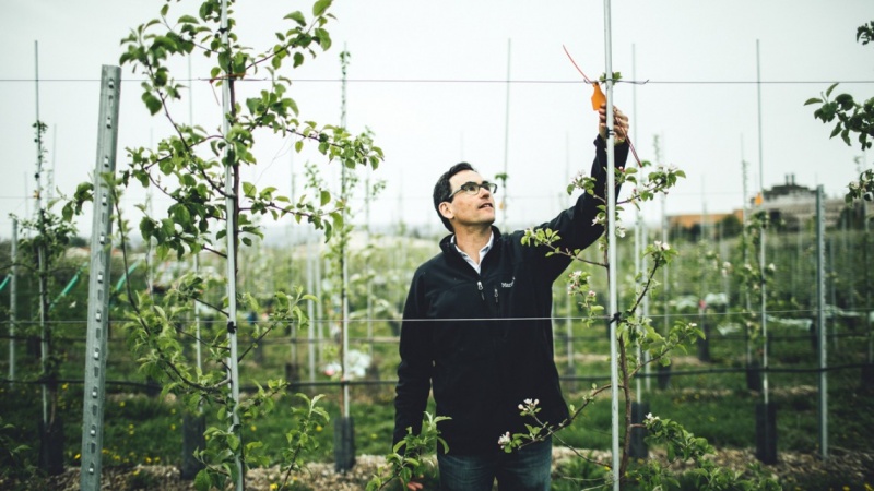 Cornell boosts New York’s hard cider industry