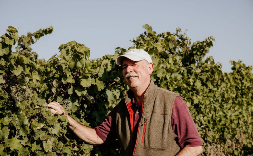 Cornell engineers, plant scientists pursue app to predict size of fall grape crops