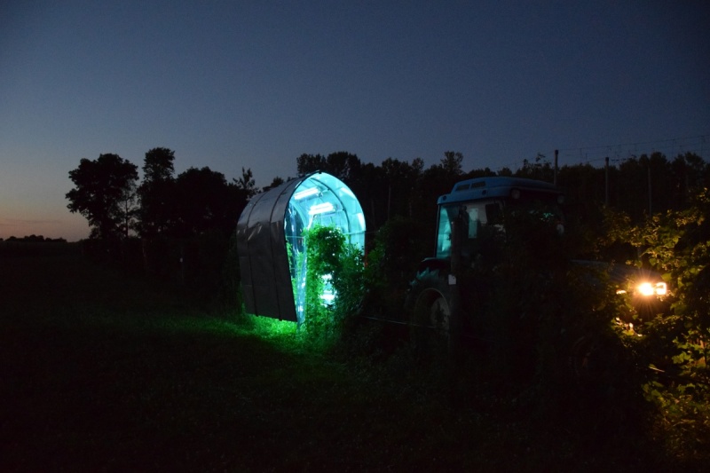 UV light may be ripe to replace chemicals in fungal fight