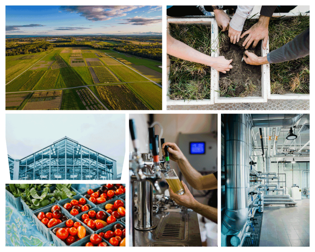 Cornell’s AgriTech research center celebrates 140th anniversary