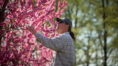 New tool forecasts spring’s arrival months in advance