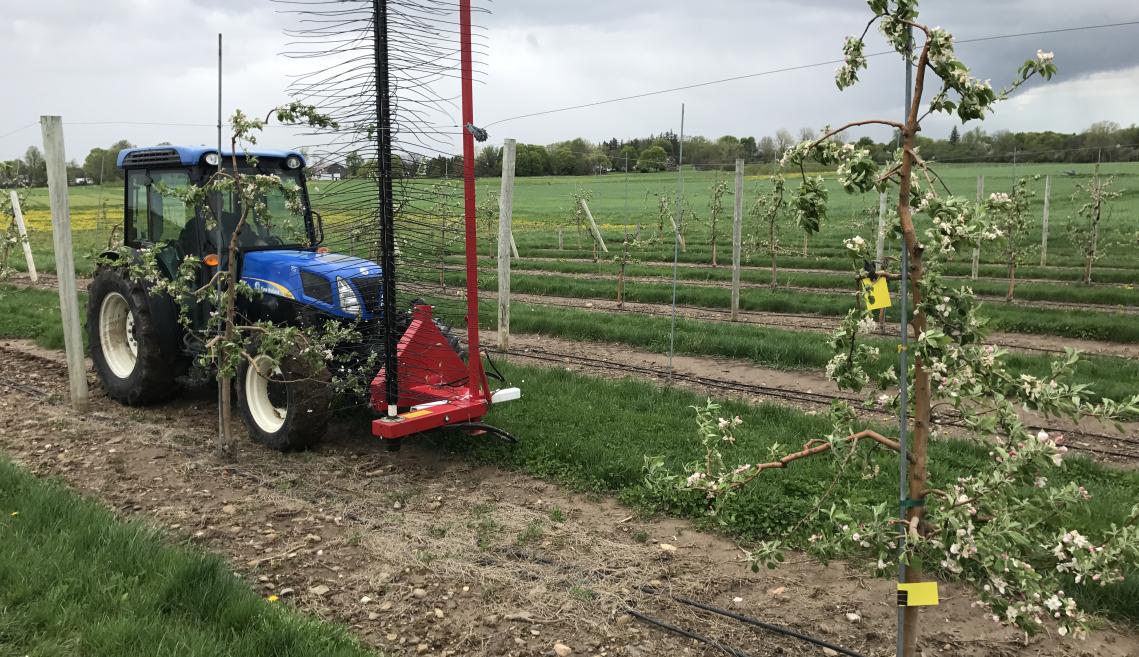 Georgia alerts growers to AI-powered farm equipment scams - Fruit Growers News