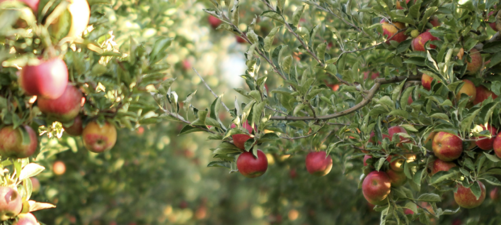 Is Your Pest Protection Washing Away?