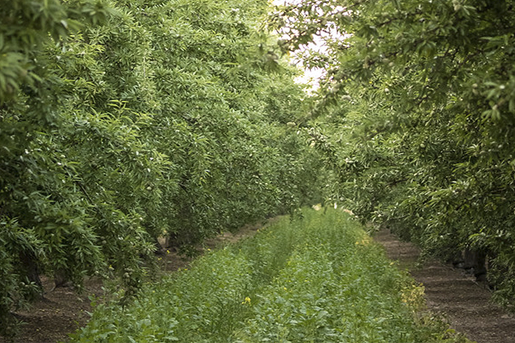 Making your land more resilient to drought