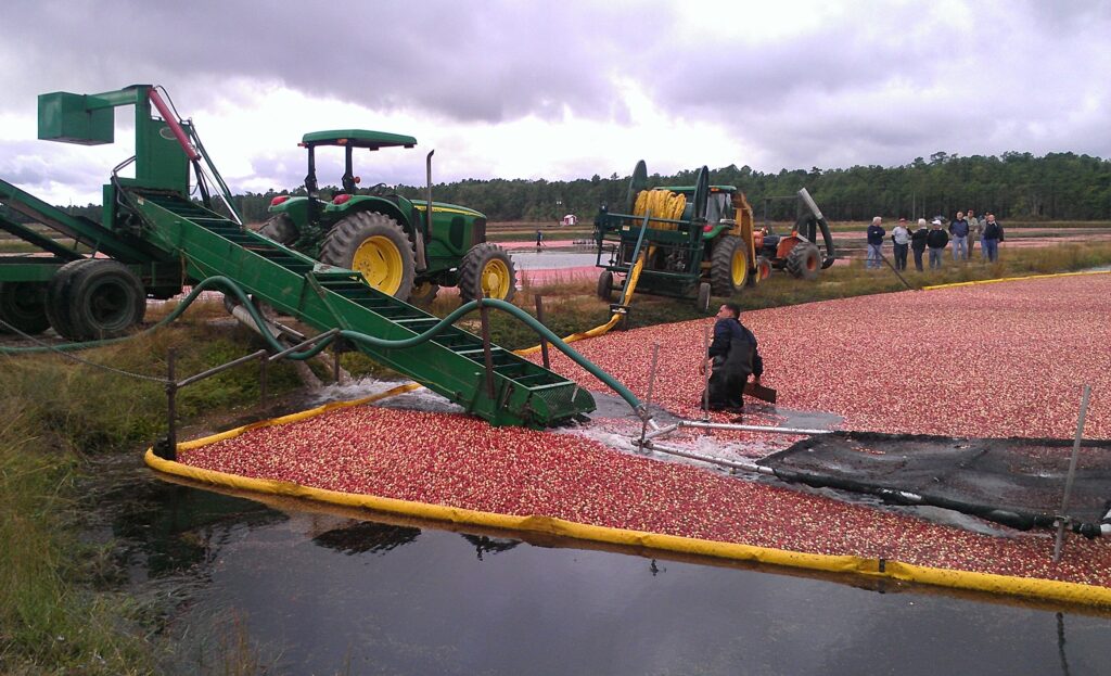 USDA sets cranberries volume regulation for 2018-19 crop year