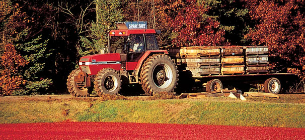 Marketing order approval could boost cranberry promotion