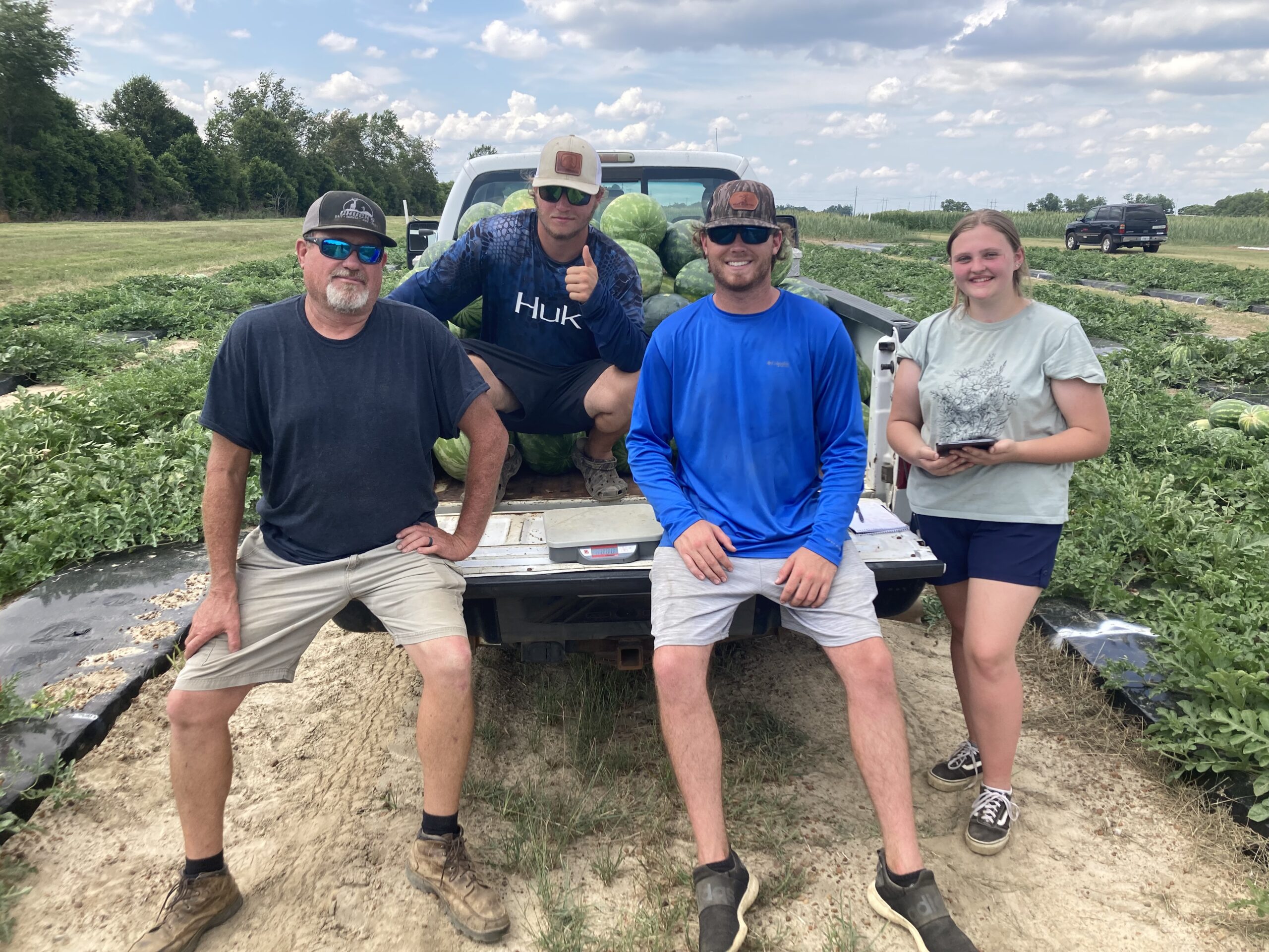 University of Georgia watermelon research crew in pickup in field of watermelons.