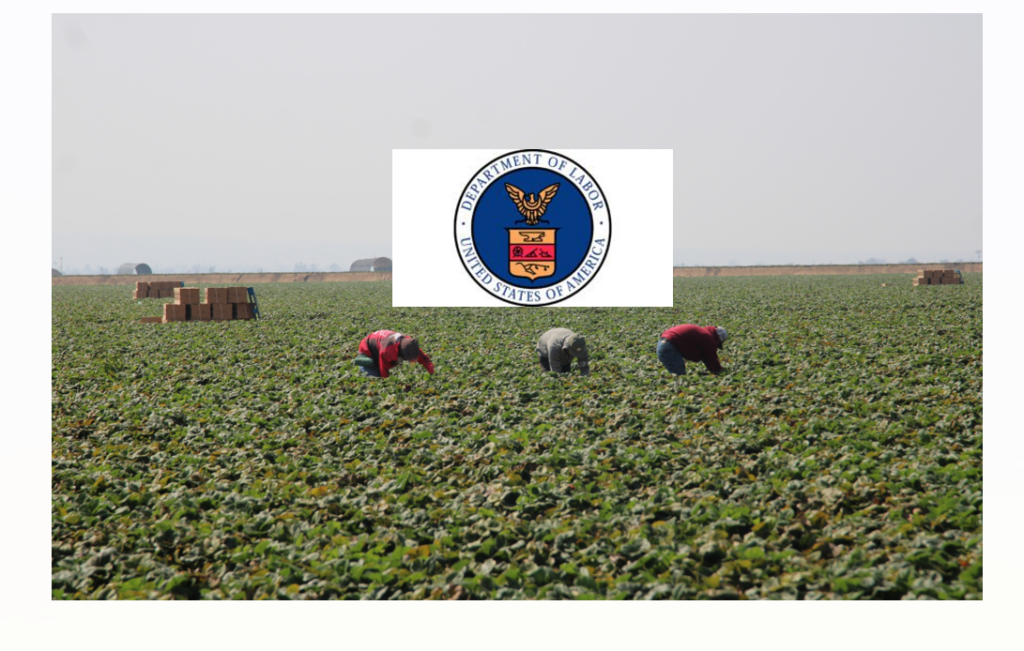 National ag groups applaud AEWR decision