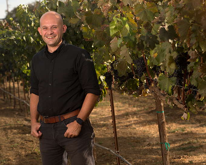 Gathering, improving grapes has long history