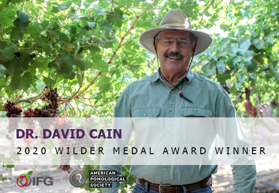 Breeder David Cain awarded Wilder Medal by American Pomological Society