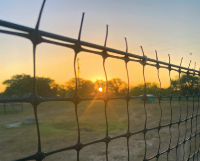 Protecting orchards from deer damage