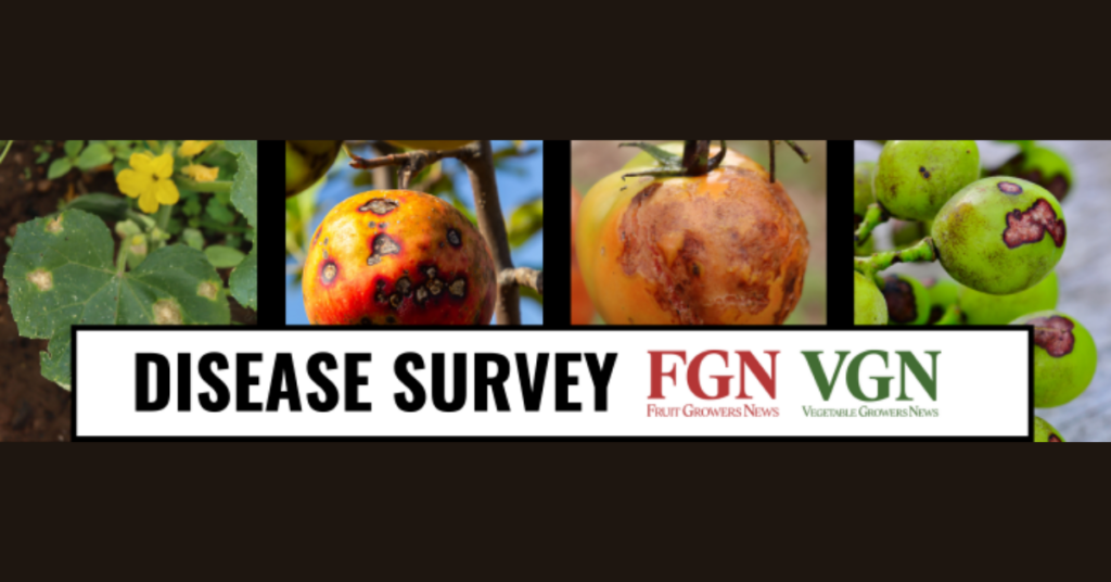 Survey: Most prevalent disease pressures in 2024