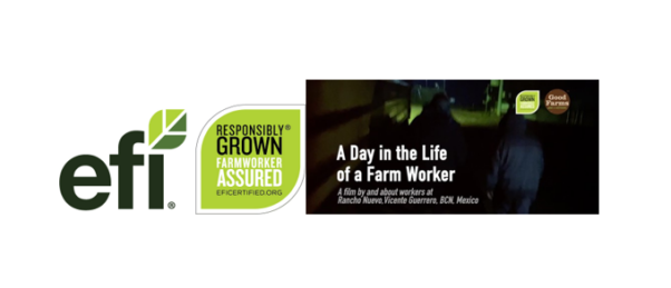 EFI highlights video series about farmworkers