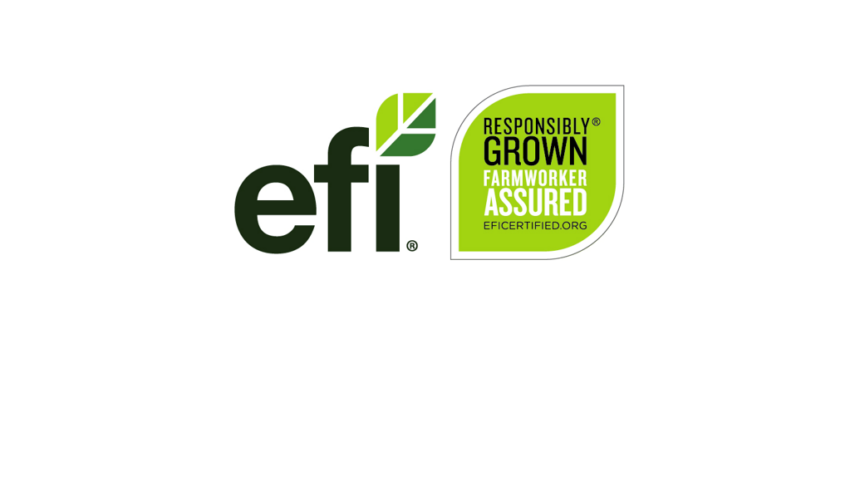 EFI simplifies worker certification program