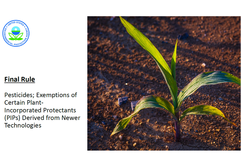 IFPA joins ag groups with dissent on EPA rule