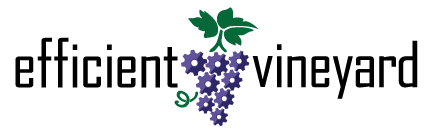 Unlocking vineyard data through technology