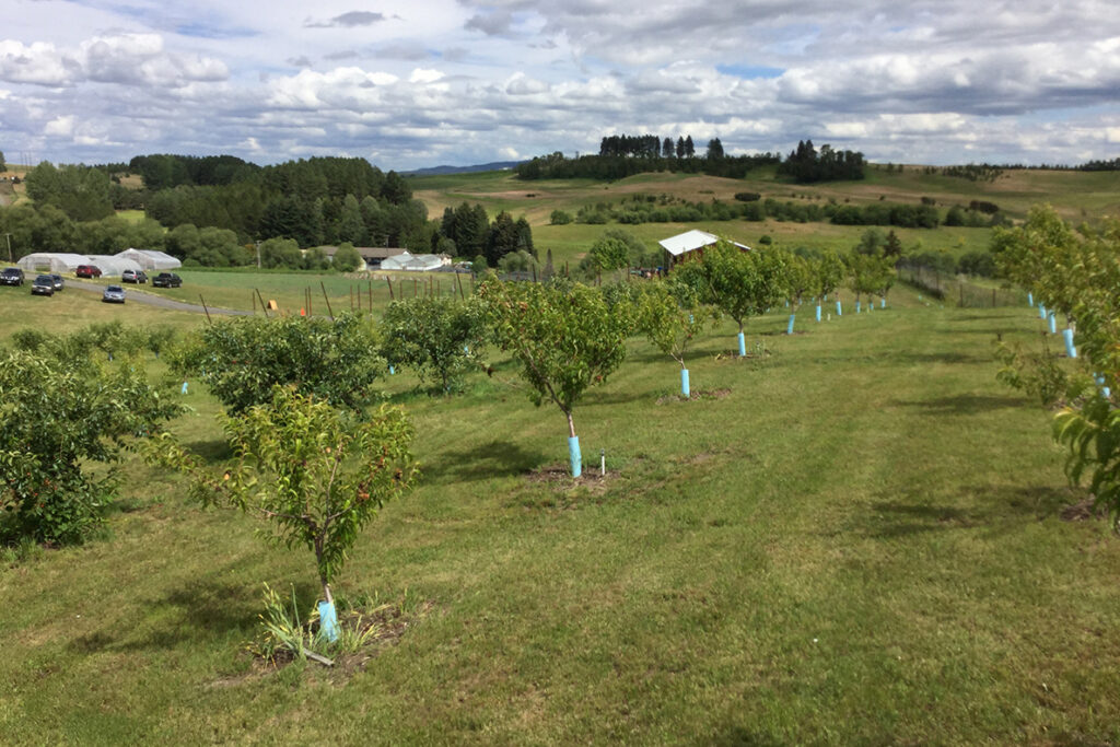 Eggert farm tour views latest in organic ag research