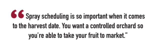 Cherry choice column quote