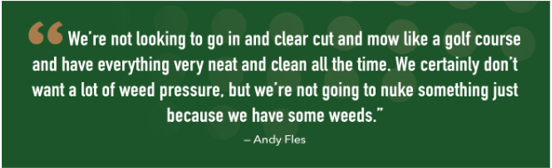 quote from story
