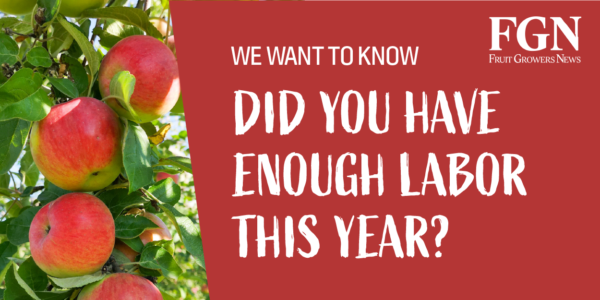 How is the labor situation affecting your operation?