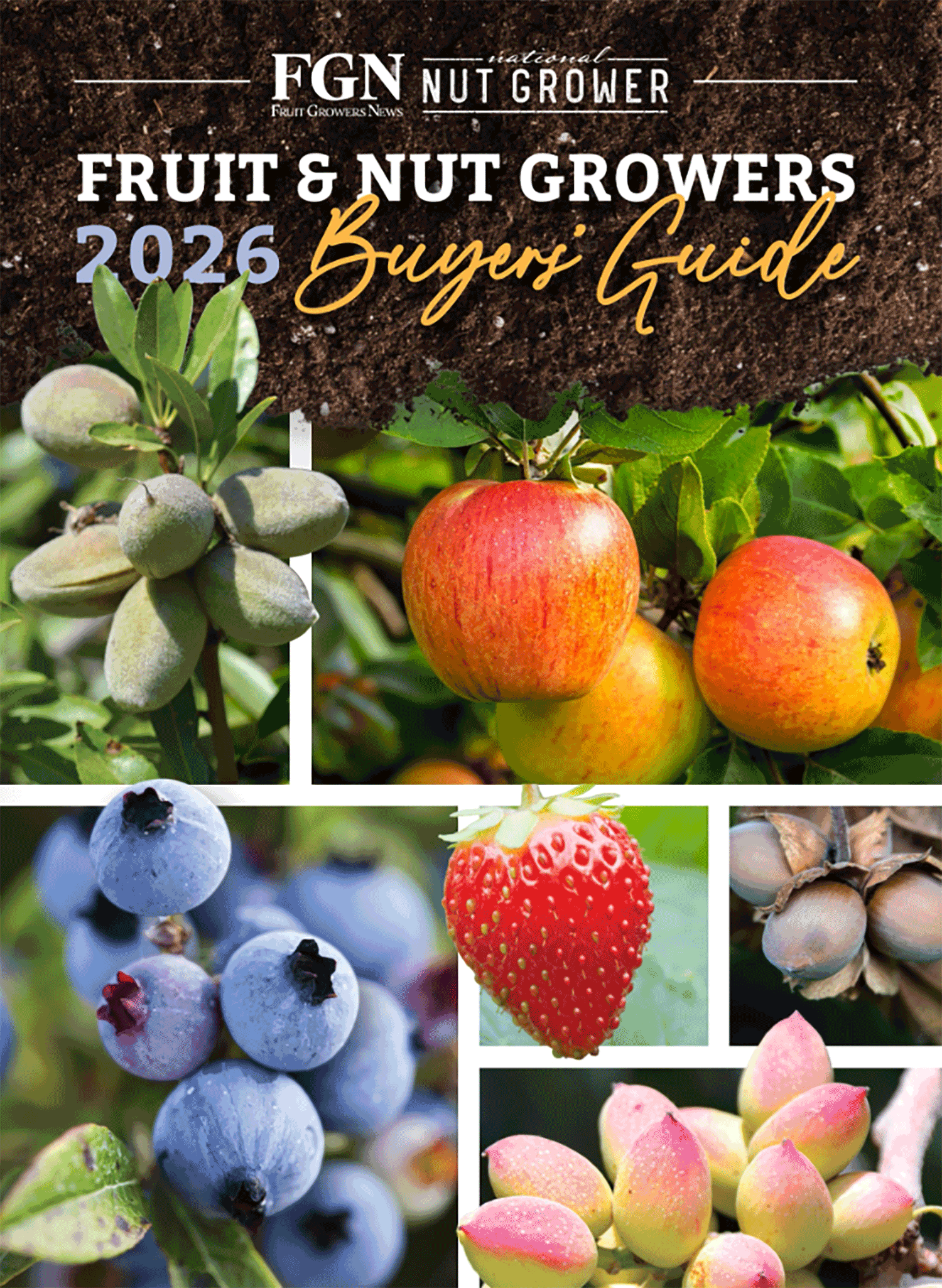 2026 Fruit & Nut Buyers’ Guide