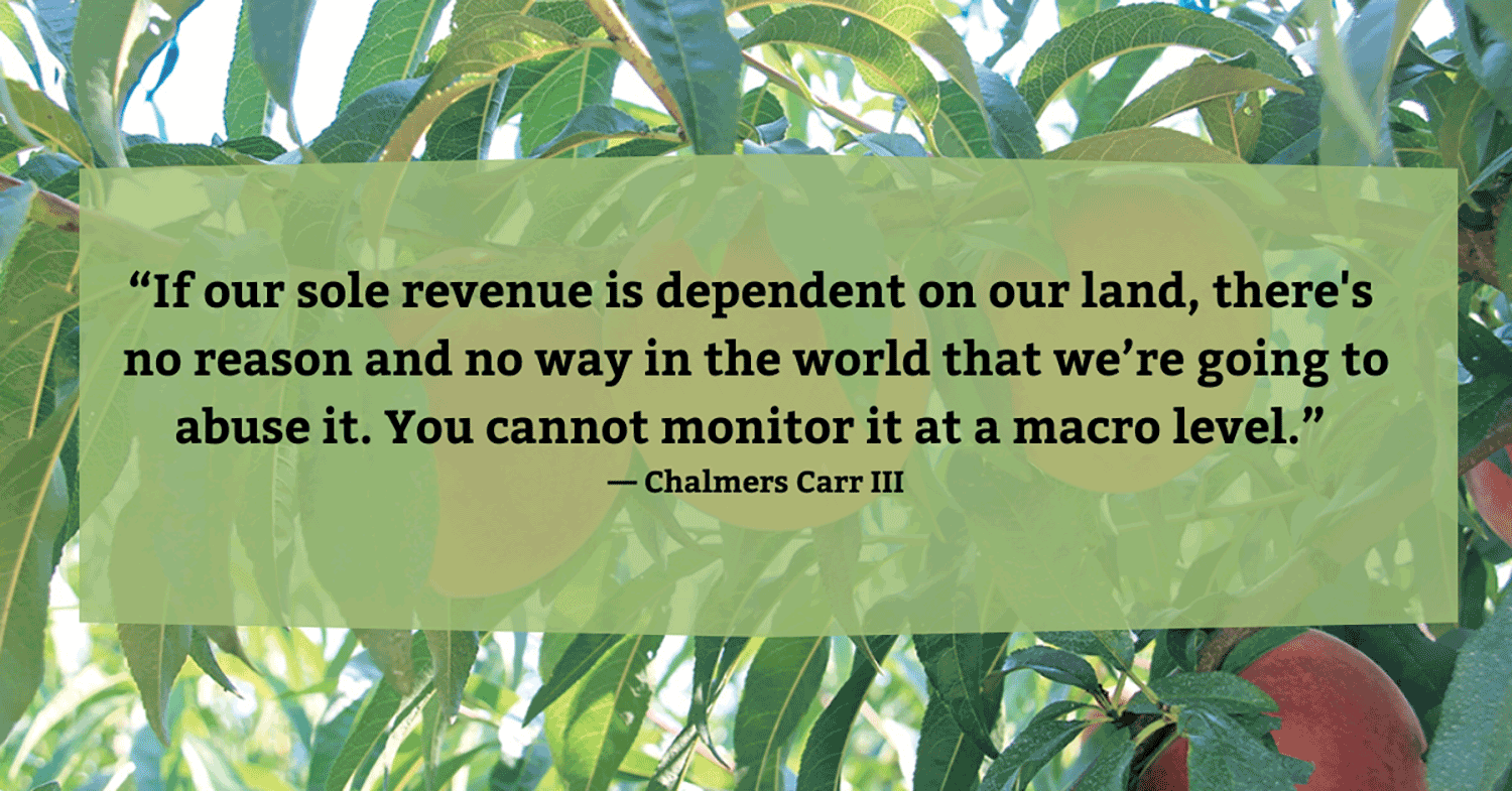 Quote of owner of Titan Farms on top of a background of peach tree with fruit hanging. Photo courtesy of Titan Farms.