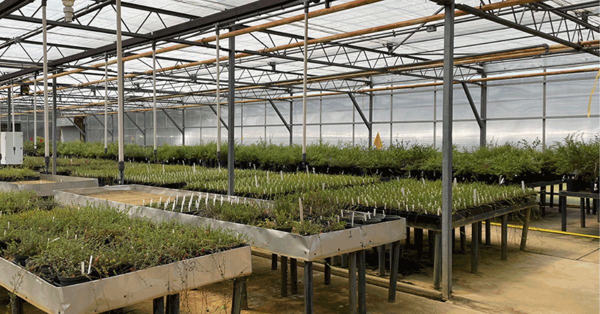 Philip E. Marucci Center for Blueberry and Cranberry Research and Extension