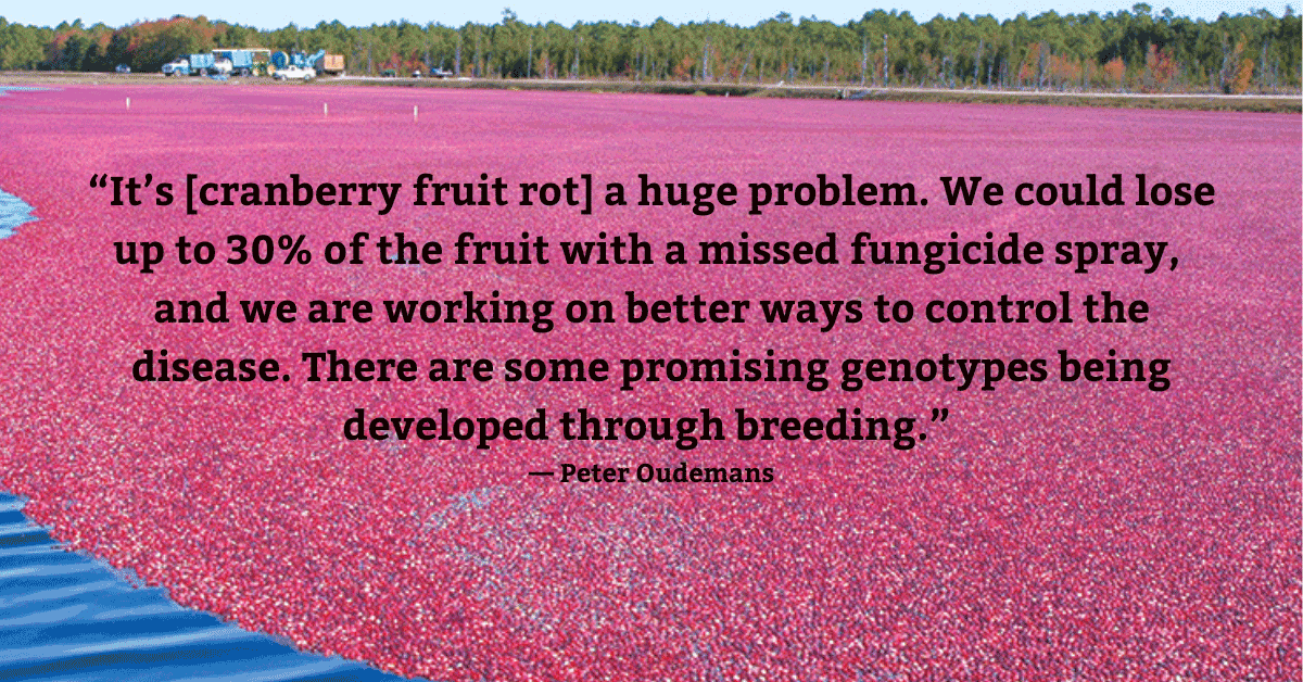 Quote over an image of a cranberry bog. Photo courtesy of The Philip E. Marucci Center for Blueberry and Cranberry Research and Extension, a division of the Rutgers New Jersey Agricultural Experiment Station.
