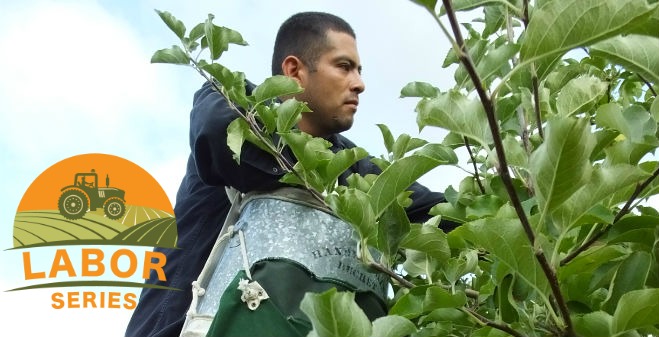 States find ways to deal with labor shortages