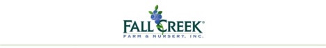 Nathan Jurgens joins Fall Creek as IT director