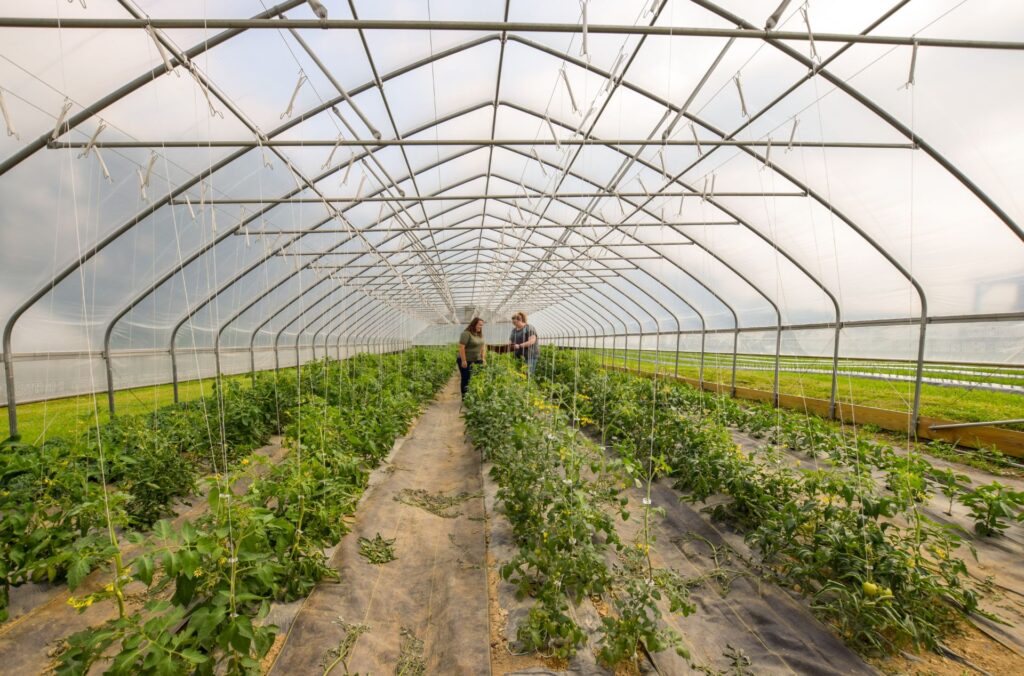 West Virginia fruit growers featured on USDA tour
