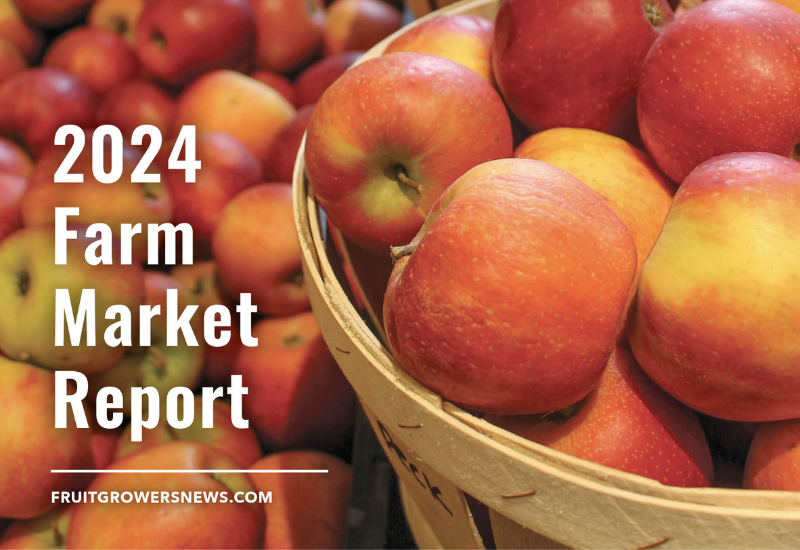 Inflation, farm input costs shape farm market prices