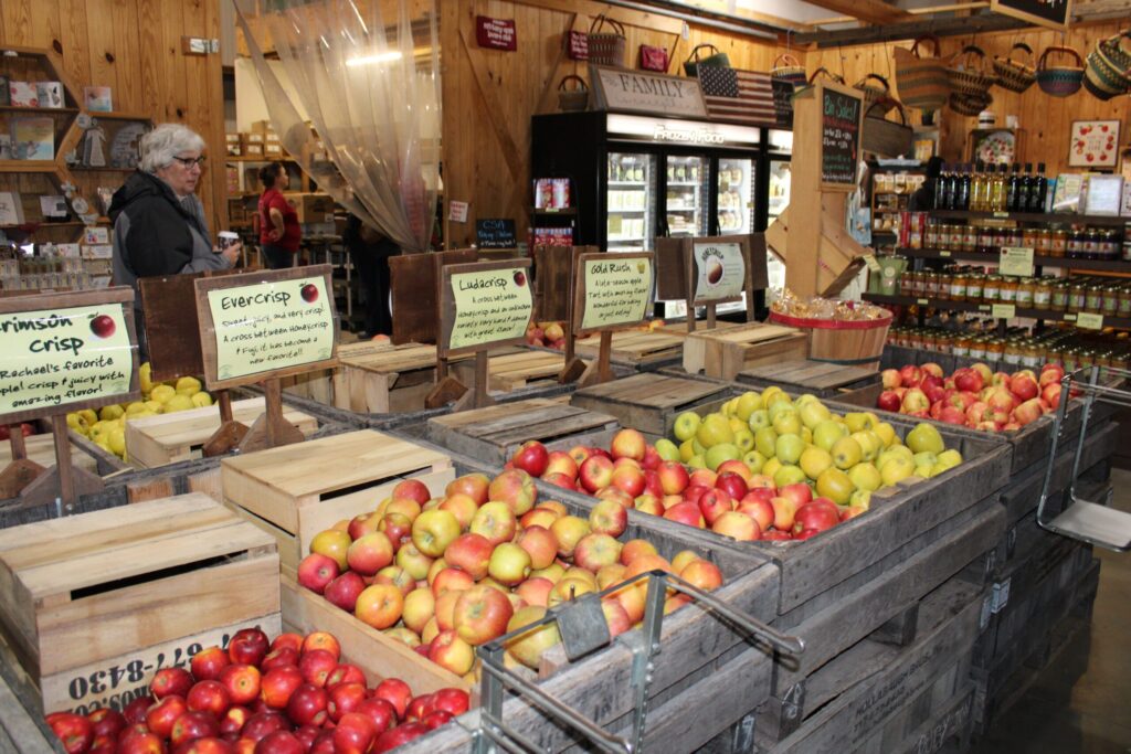 Email marketing strategies for farm businesses